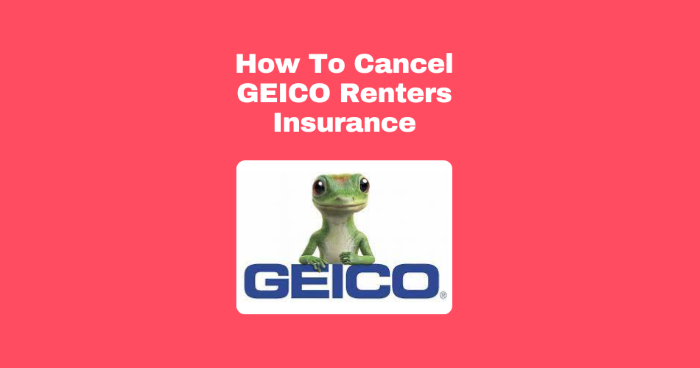 How Do I Cancel Geico Renter’s Insurance?