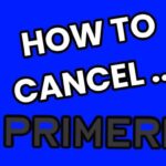 How To Cancel Primerica Life Insurance?